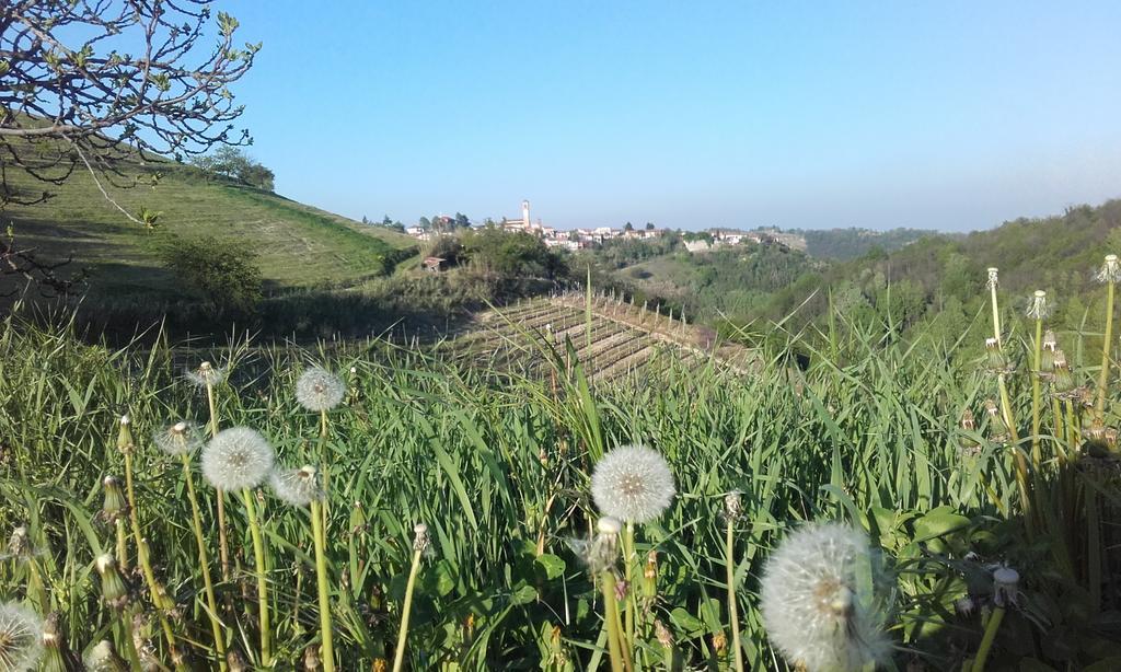 Cà D' Rot - Casa Ratti Affittacamere Vinchio Esterno foto