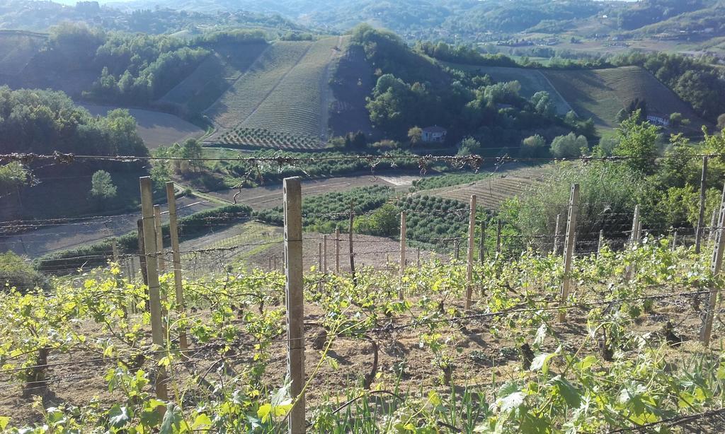 Cà D' Rot - Casa Ratti Affittacamere Vinchio Esterno foto